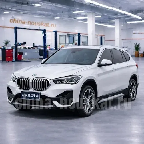 X1